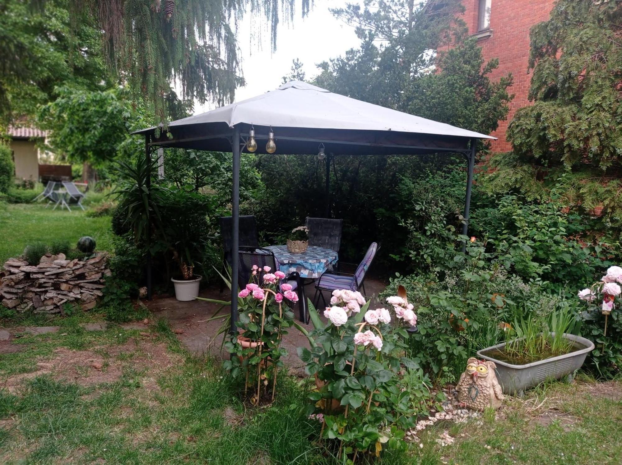 Ferienwohnung Markert Blankenburg  Cameră foto